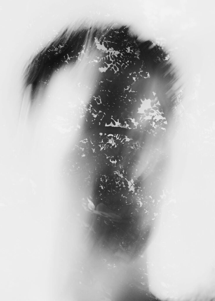 pexels-photo-34419942-34419942 pexels-photo-34419942-34419942.jpg